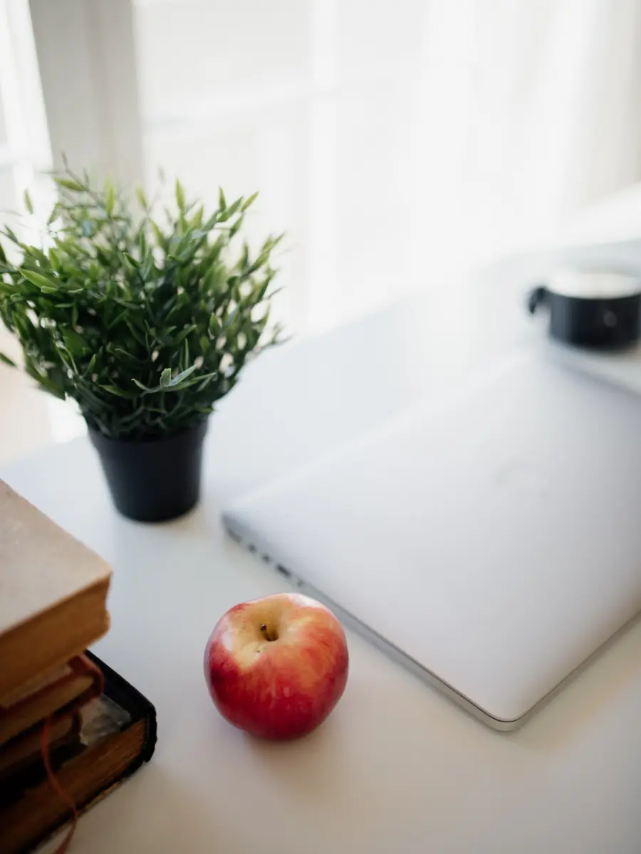 Un poste de travail lumineux : ordinateur portable, livres et plante