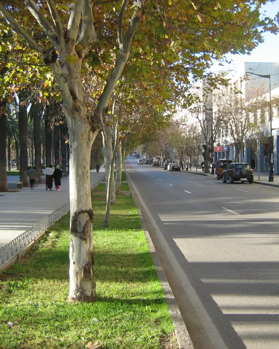 An avenue in the new town of Fès